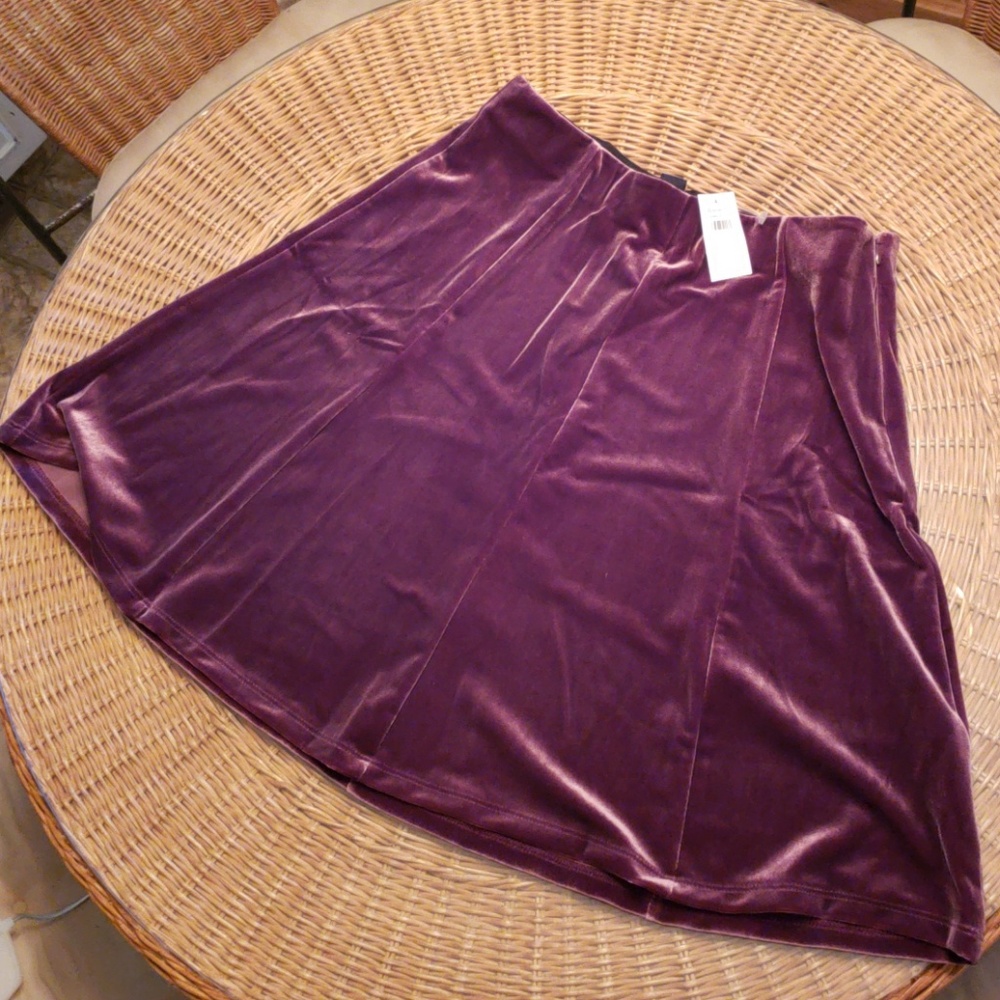 NWT! GAP velvet skirt. Small